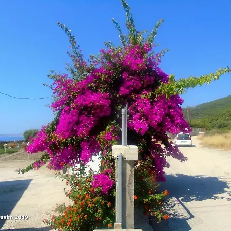 Han/Misafirhane Star Sianna Village To Let *