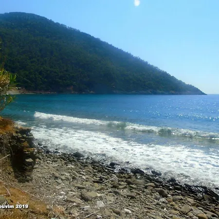 Star Sianna Village To Let Inn Siana