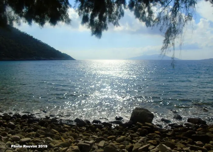 Star Sianna Village To Let Siana