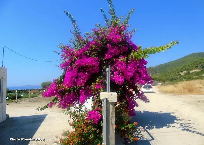 Gasthof Star Sianna Village To Let *