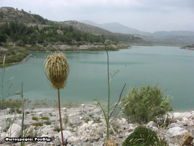 Star Sianna Village To Let Siana