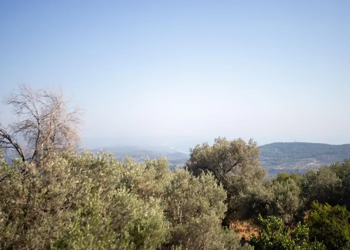 Locanda Star Sianna Village To Let *