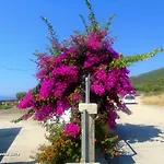 여관 Star Sianna Village To Let *