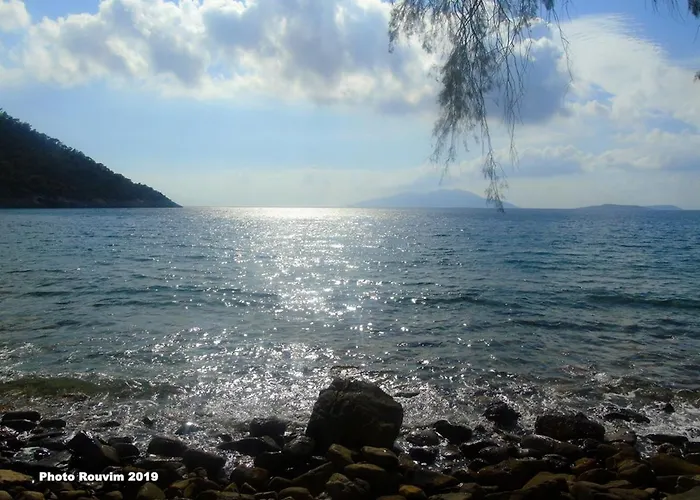 Han Star Sianna Village To Let *